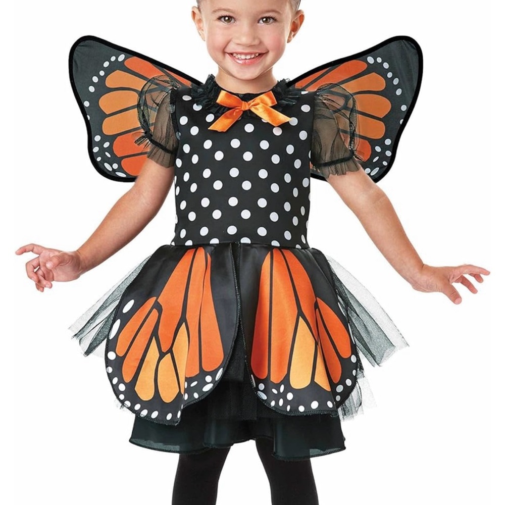 2T Butterfly Fairy Kids Costume